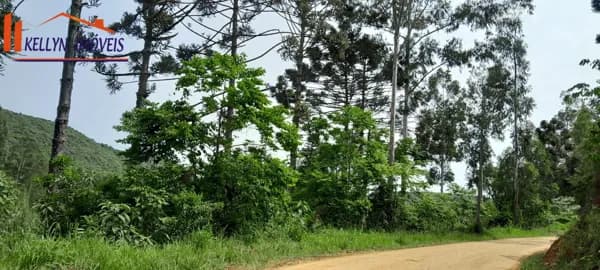 Área Rural no Interior de Faxinal!