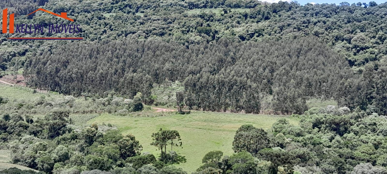 Fazenda/Sítios/Chácaras em Faxinal dos Guedes - Interior