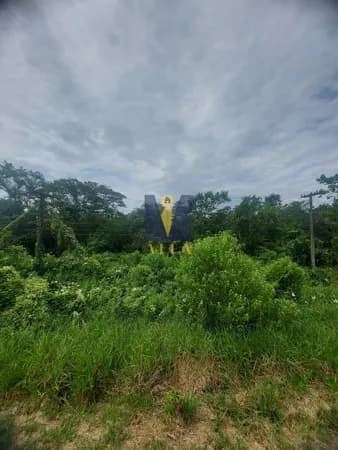 Terreno - Área
