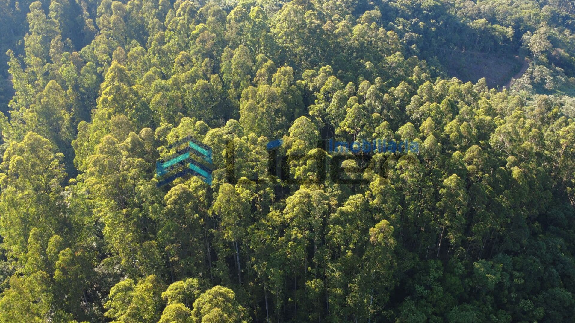 Fazenda/Sítios/Chácaras em Seara - Nova Teutônia