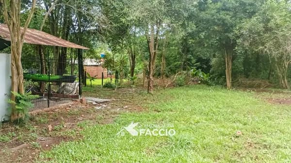 Casa em Doutor Maurício Cardoso - Centro