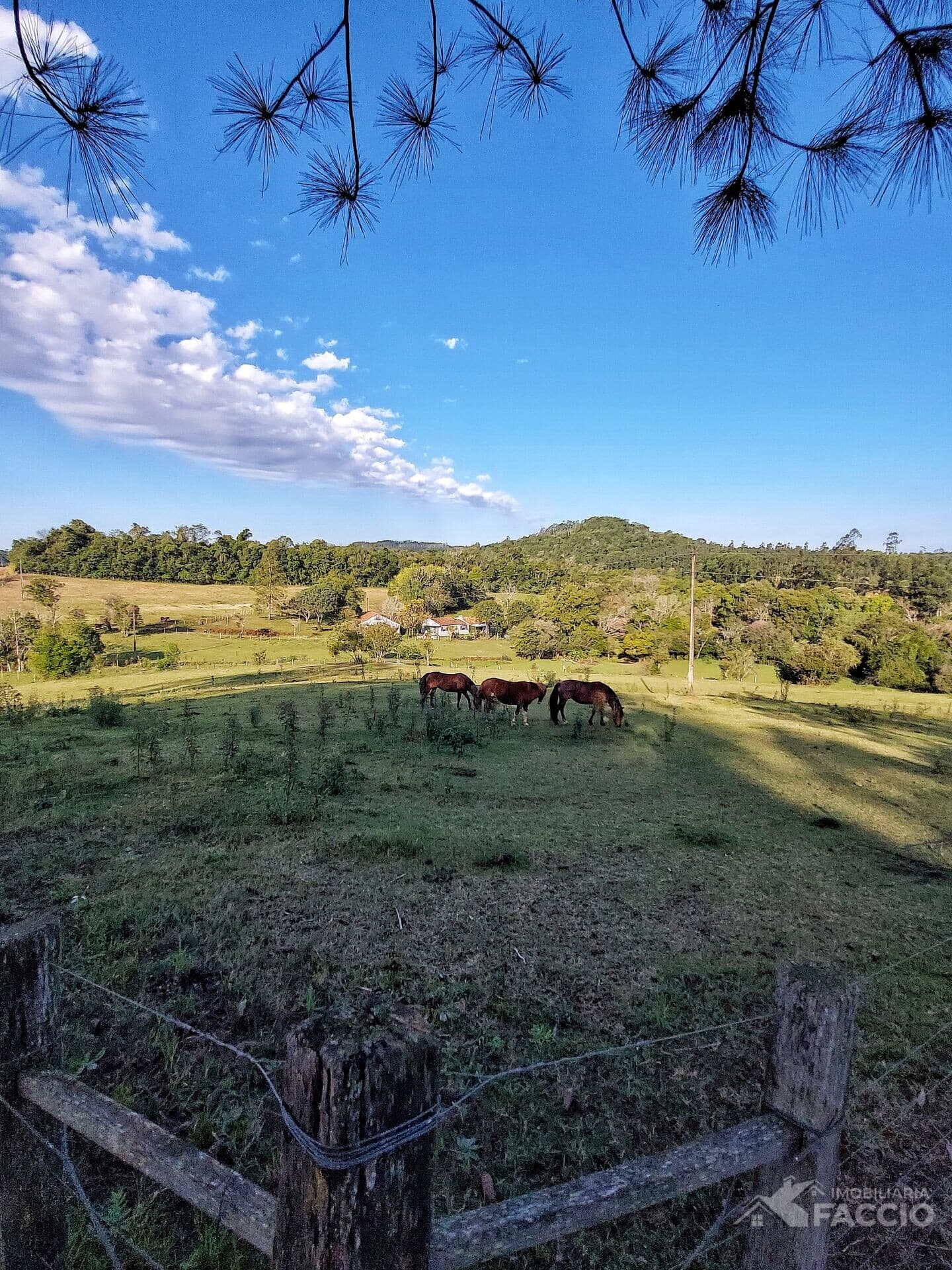 Fazenda/Sítios/Chácaras em Três de Maio - Interior