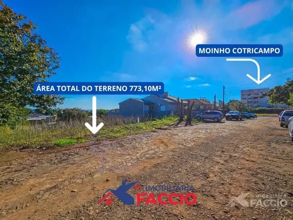 2 Terreno