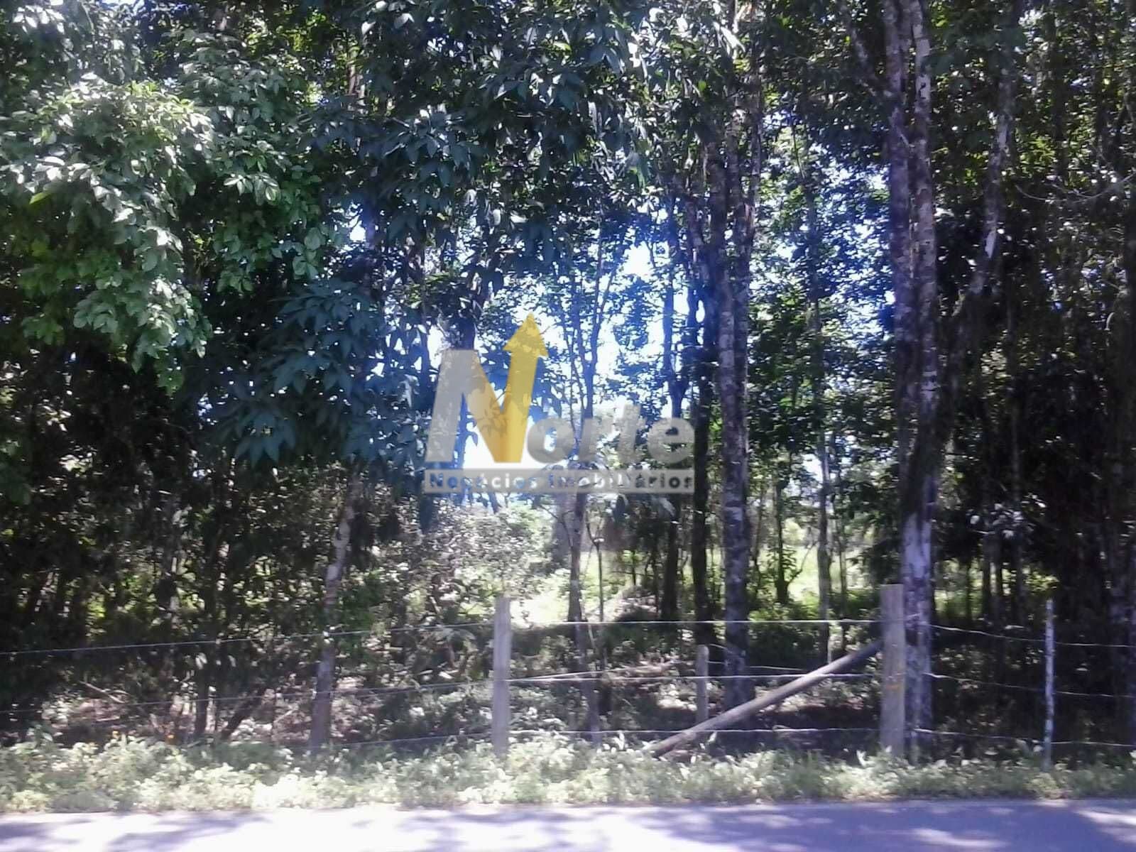 ÁREA RURAL COM 30.500M²- ESTRADA DO RIO CLARO- CARAGUATATUBA/SP