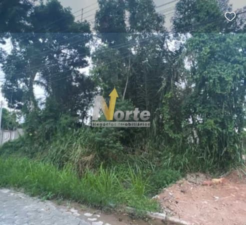 Excelente Terreno Oportunidade Única