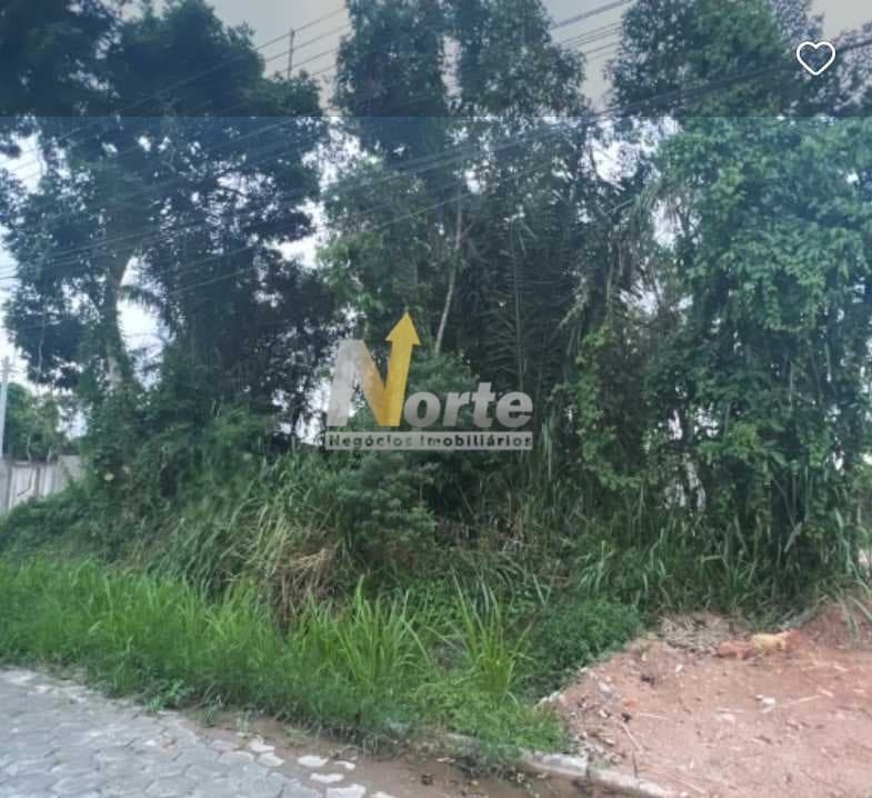 Excelente Terreno Oportunidade Única