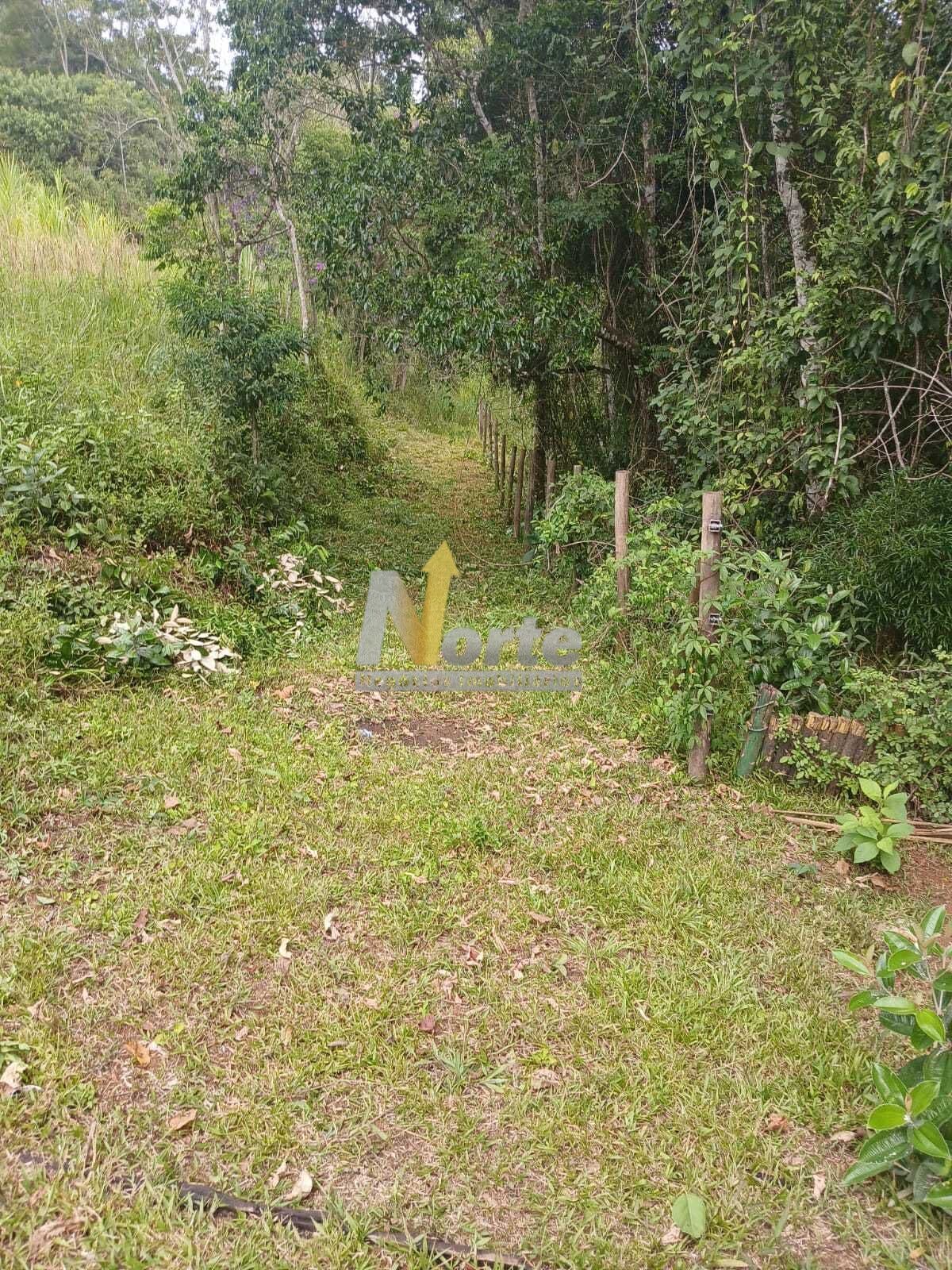 TERRENO EM ILHABELA/SP - BAIRRO BARRA VELHA (ZABUMBA)