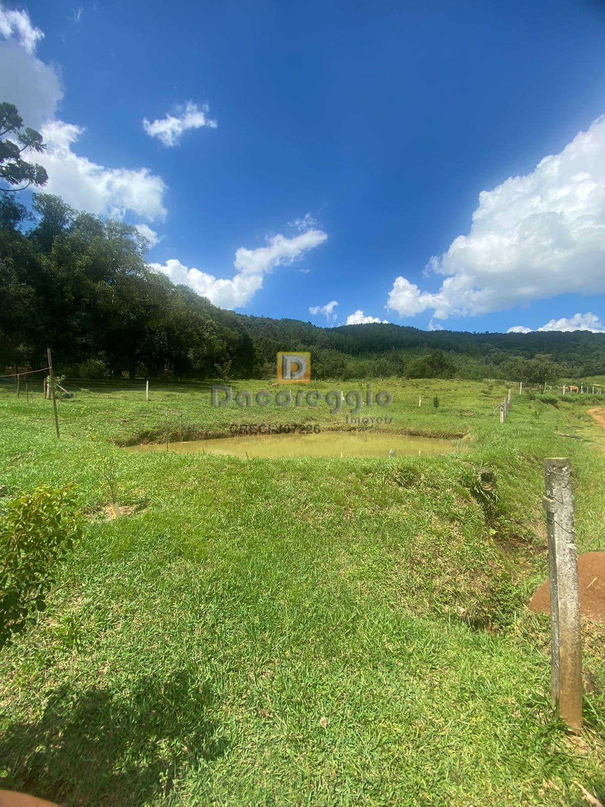 Fazenda/Sítios/Chácaras em Guarapuava - Vila Jordão