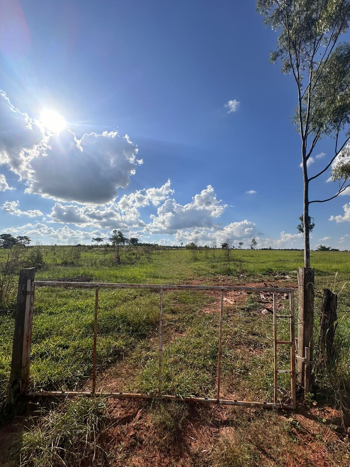 Chácara em MIRASSOL - 21.000 m²