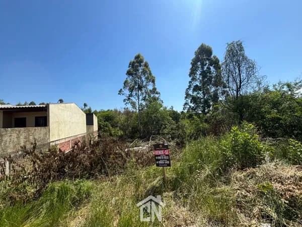 Terreno no Loteamento Morada dos Pinhais