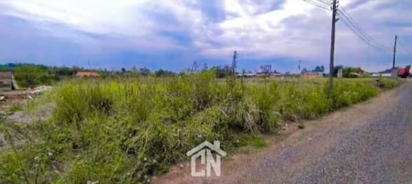 Terreno Plano em Pareci Novo