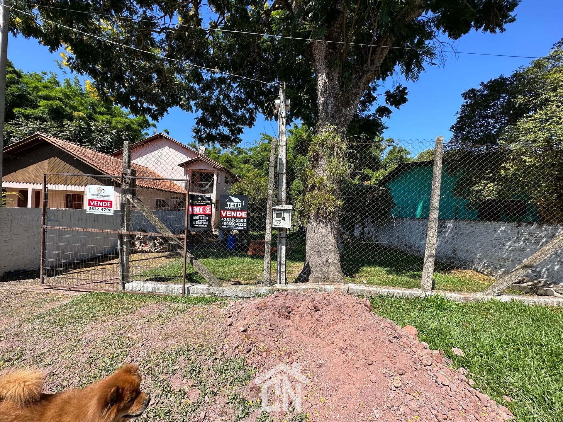 Terreno plano no bairro Santo Antônio