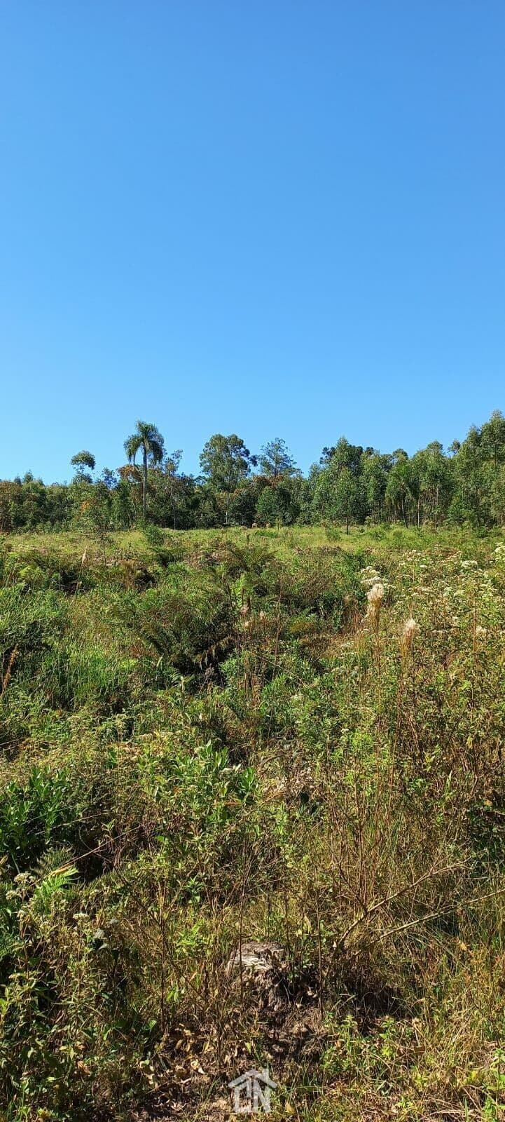 Fazenda/Sítios/Chácaras em Montenegro - Centro