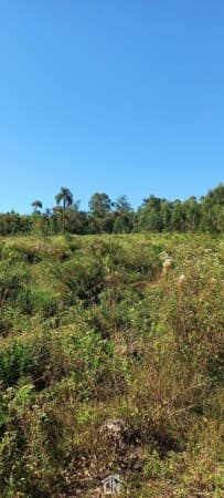 Fazenda/Sítios/Chácaras em Montenegro - Centro
