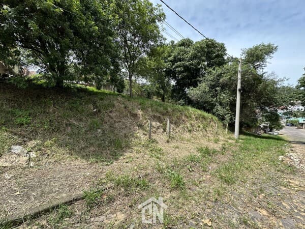 Terreno na Colina Schenkel