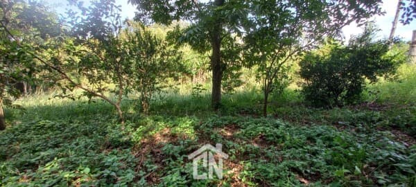Fazenda/Sítios/Chácaras em Montenegro - Vendinha