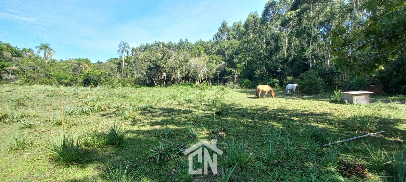 Fazenda/Sítios/Chácaras em Triunfo - Vendinha