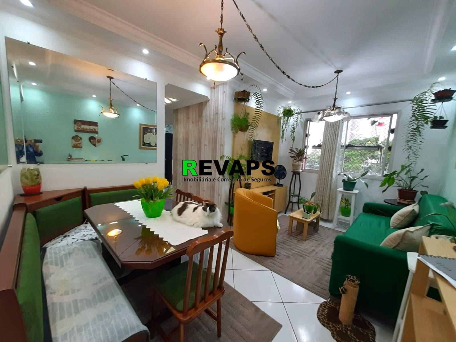 Apartamento em São Bernardo do Campo - Suíço