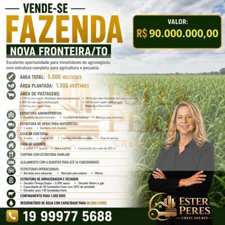 FAZENDA NOVA FRONTEIRA/ TO