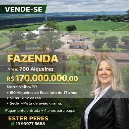 Fazenda 700 alqueires - Norte Velho/ PR