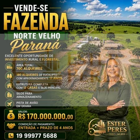 FAZENDA – NORTE VELHO / PR