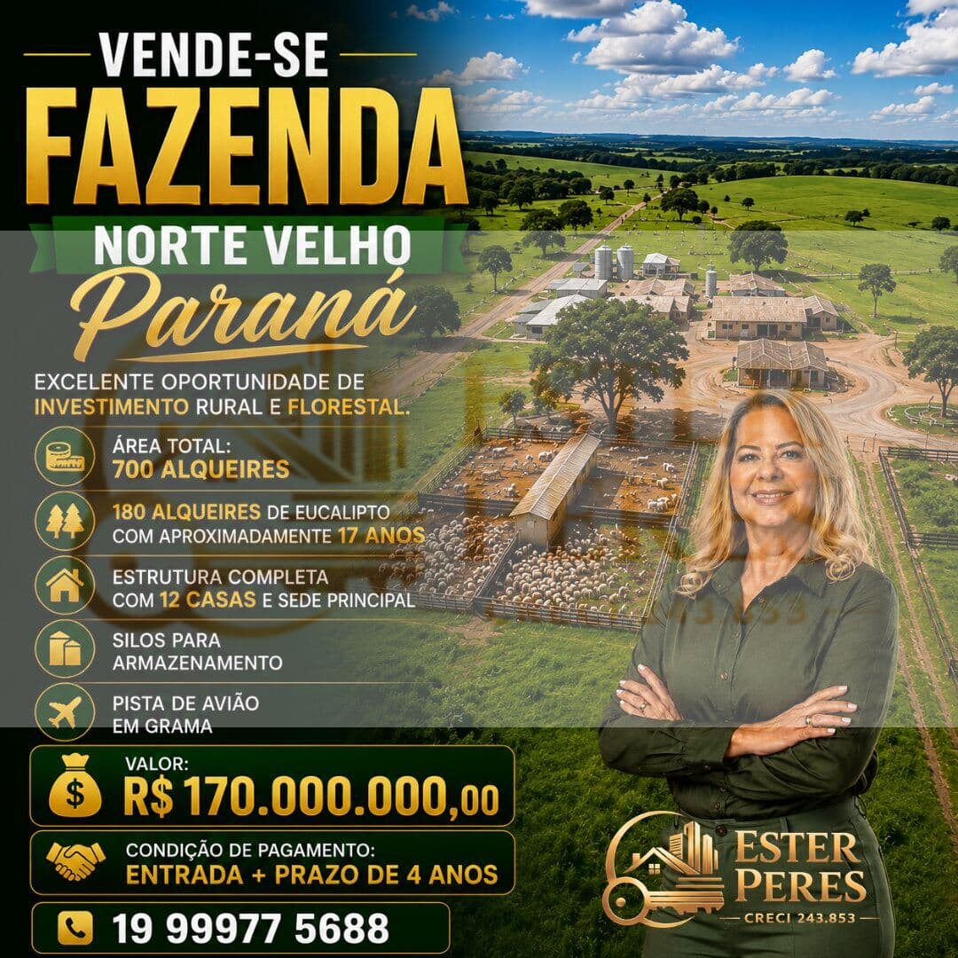 FAZENDA – NORTE VELHO / PR