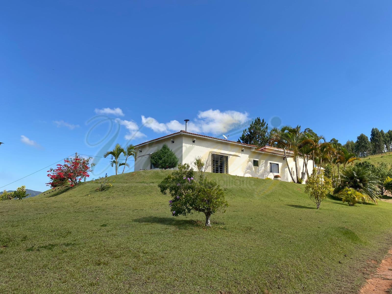 Fazenda/Sítios/Chácaras em Toledo - Centro