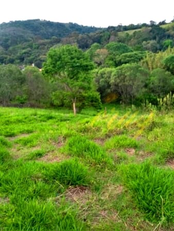 Lote/Terreno em Vargem - Consulte