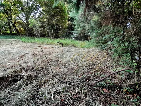 Lote/Terreno em Extrema - Centro