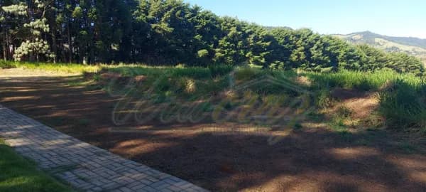 Lote/Terreno em Joanópolis - Centro