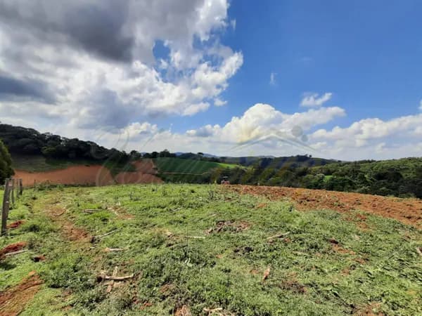 Lote/Terreno em Toledo - Centro