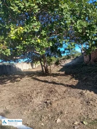 Lote/Terreno em Camaçari - Catu de Abrantes