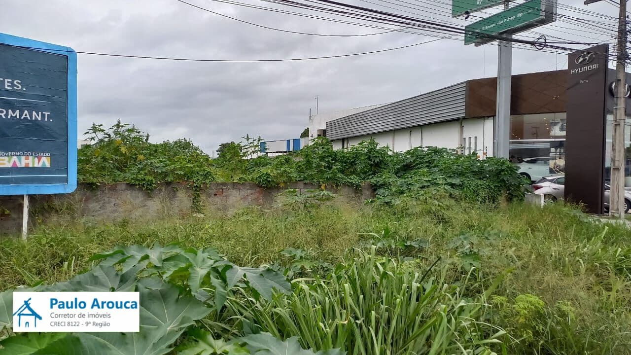 Lote/Terreno em Feira de Santana - Santa Mônica