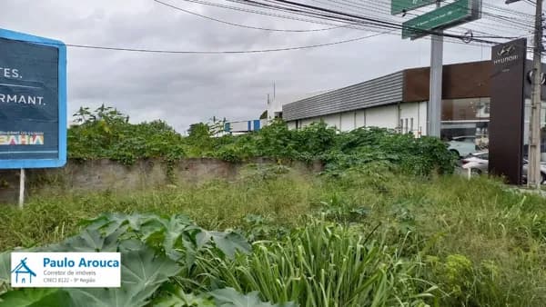 Lote/Terreno em Feira de Santana - Santa Mônica