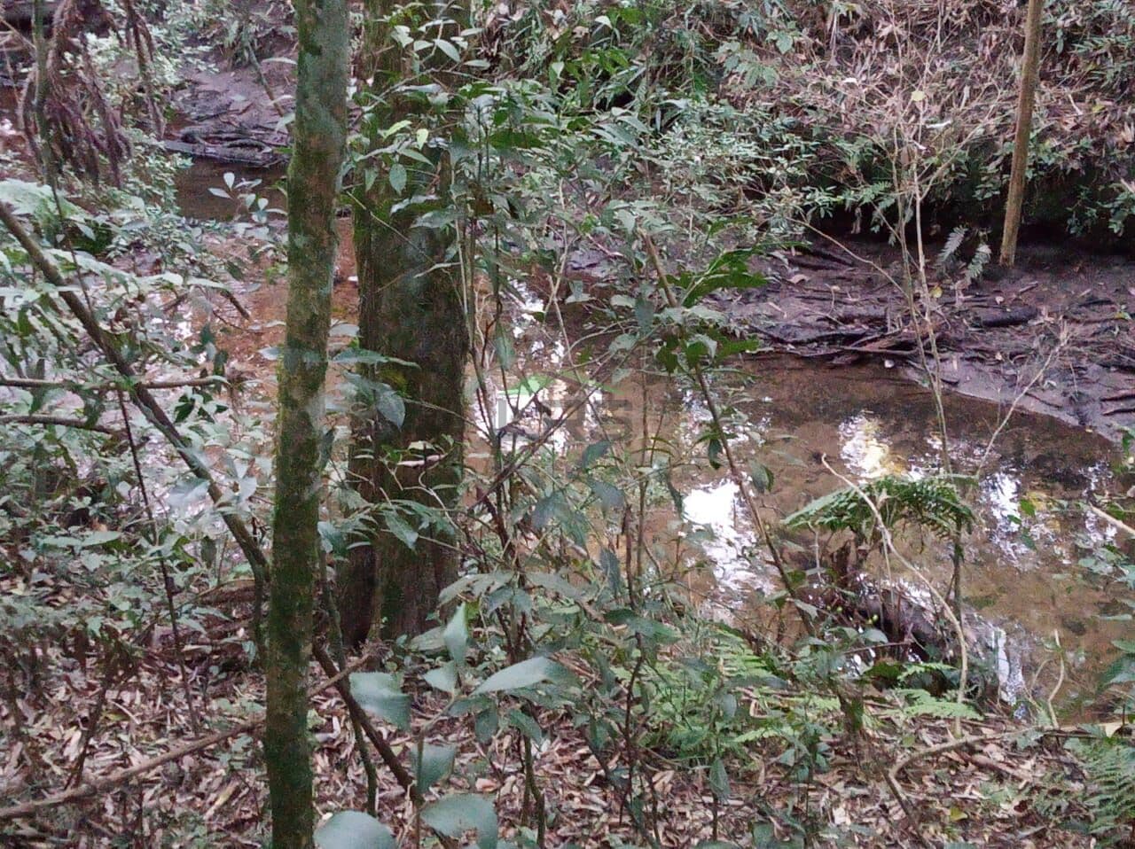Área para formar Chácara em São Luiz do Purunã - Balsa Nova