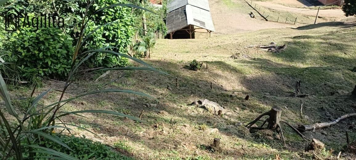 Sítio à Venda em Rodeio