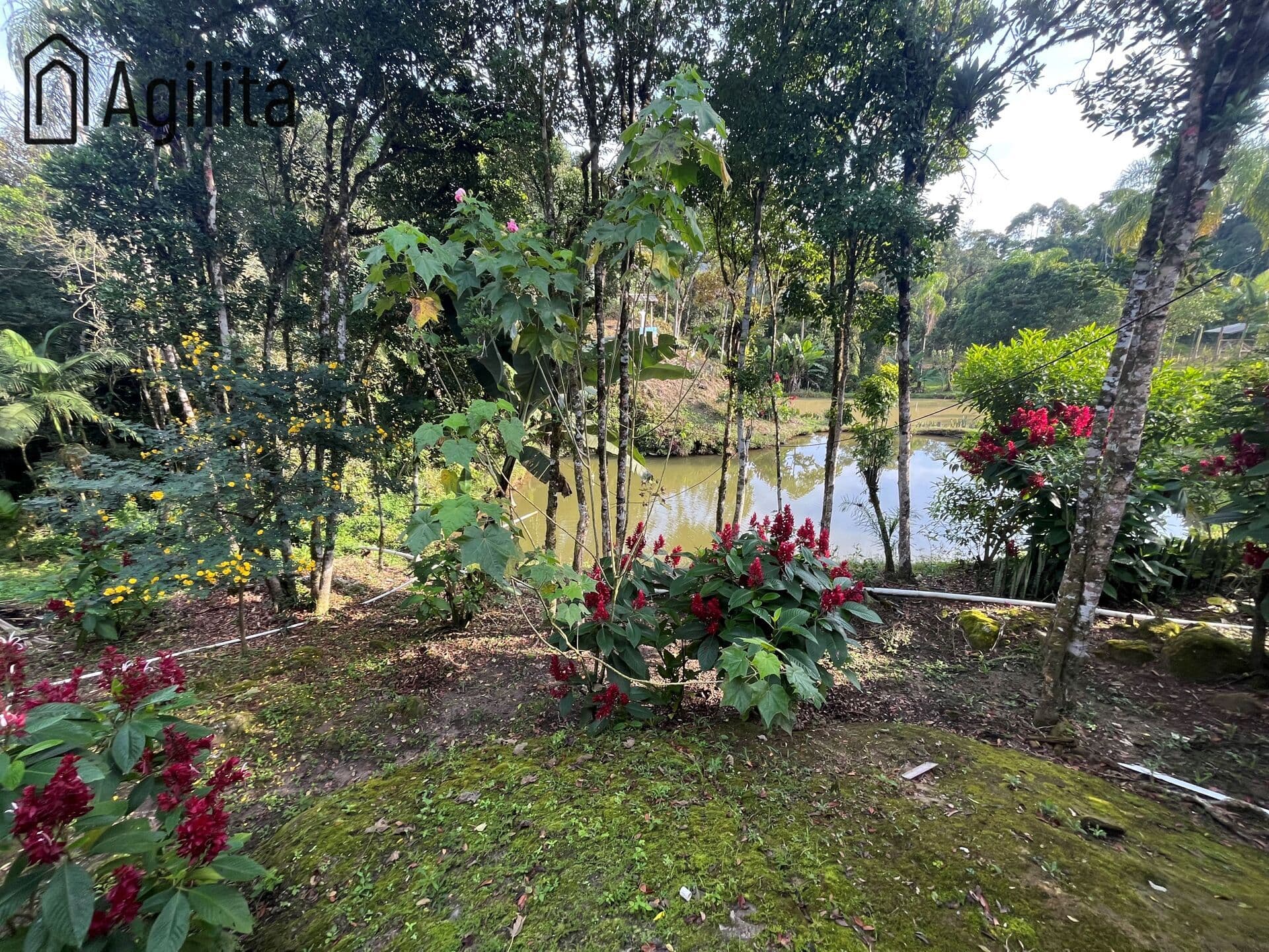Mini Sítio à Venda em Benedito Novo /SC