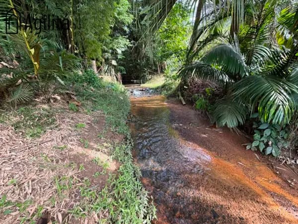Terreno à venda em Pomerode/SC