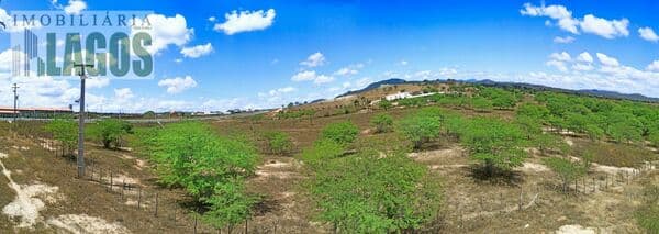 Lote/Terreno em Caruaru - Centro