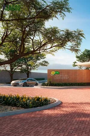 Lote/Terreno em Santa Cruz do Capibaribe - Bela Vista