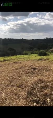 Lote/Terreno em Riacho das Almas - Centro