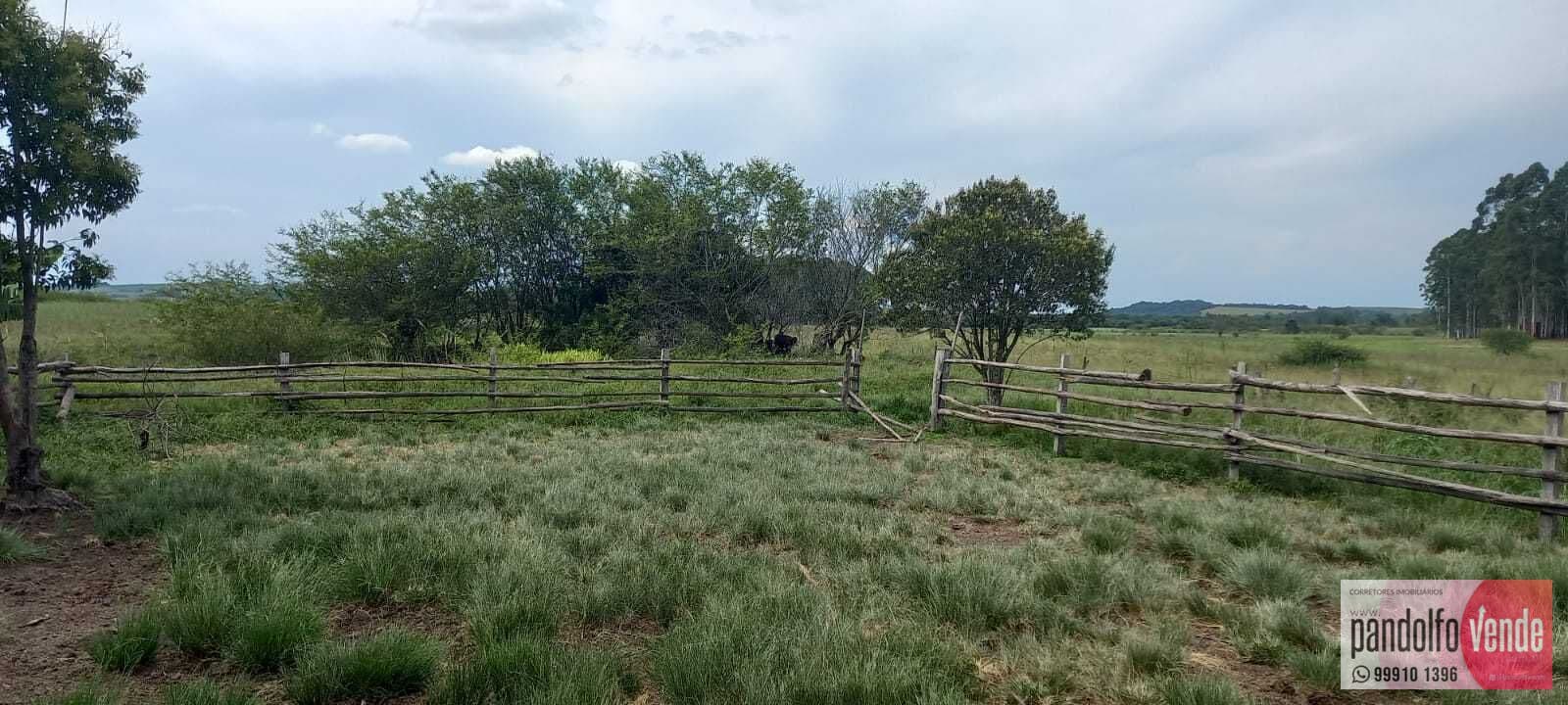 Fazenda/Sítios/Chácaras em Eldorado do Sul - Parque Guaíba