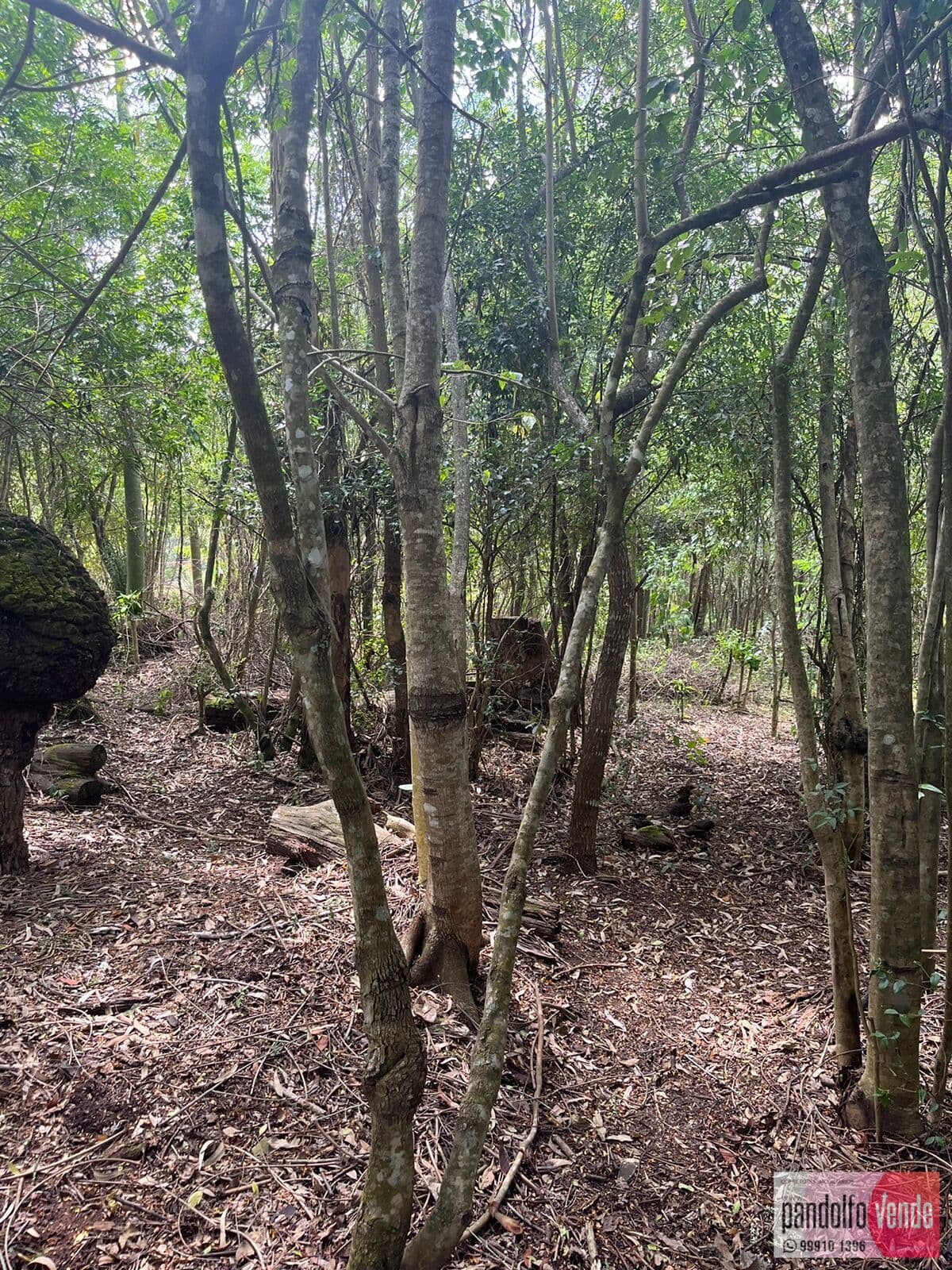 Lote/Terreno em Eldorado do Sul - Guaíba Country Club