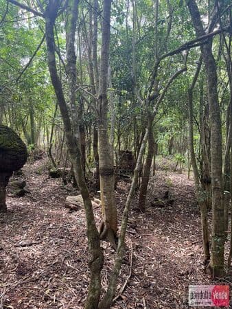 Lote/Terreno em Eldorado do Sul - Guaíba Country Club