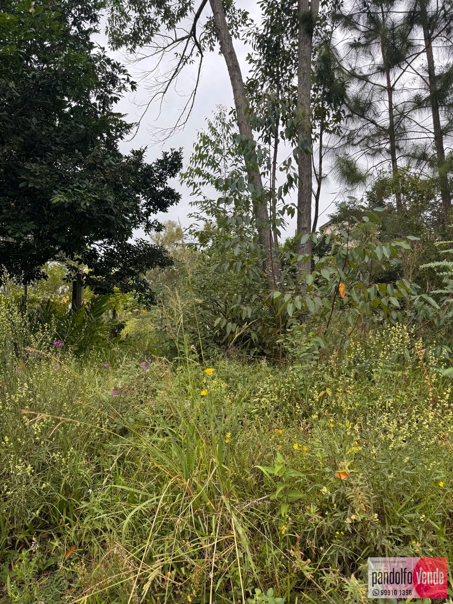 Lote/Terreno em Eldorado do Sul - Parque Eldorado 3