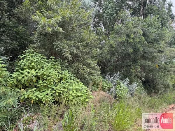Lote/Terreno em Eldorado do Sul - Parque Eldorado 3