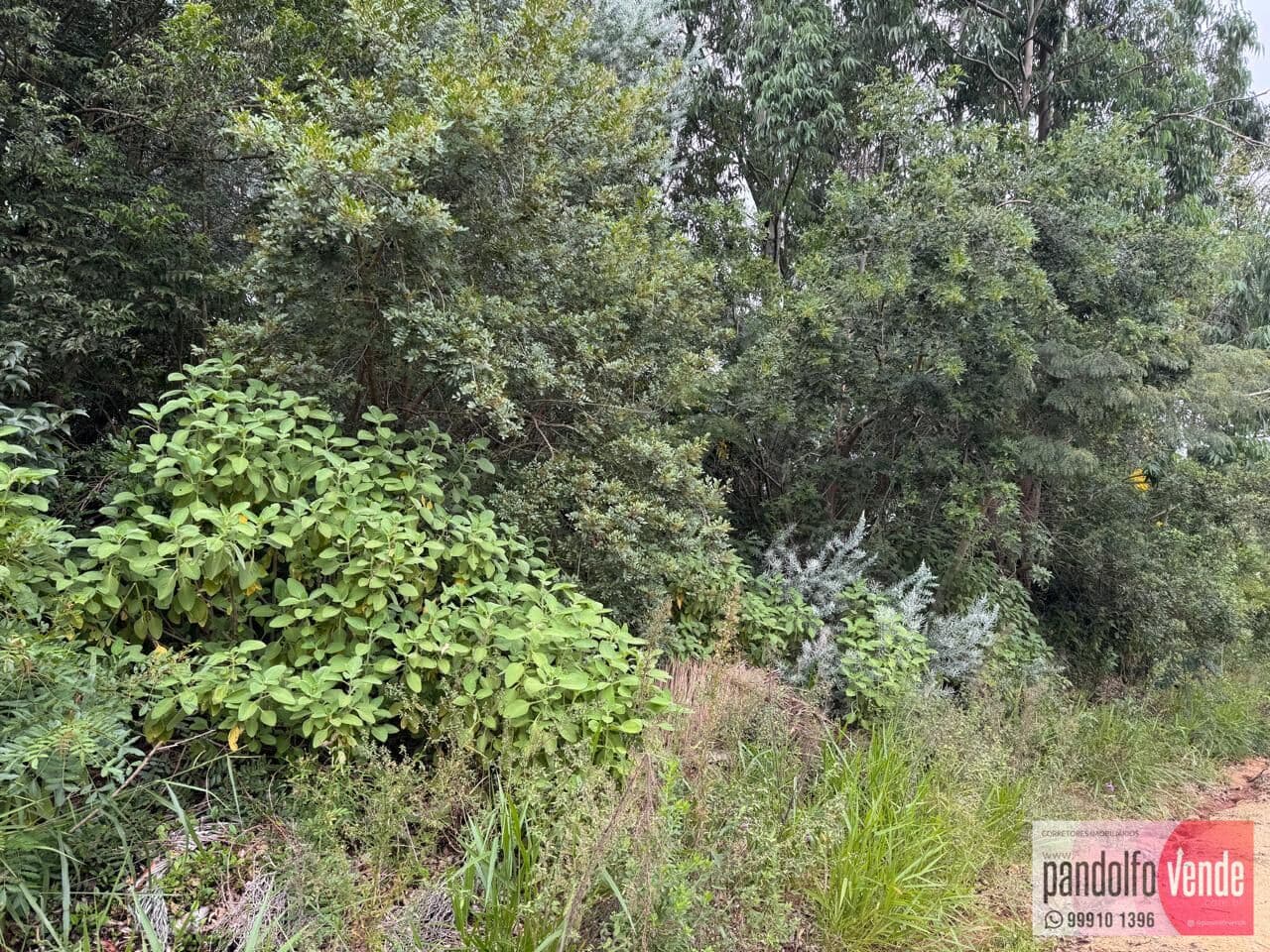 Lote/Terreno em Eldorado do Sul - Parque Eldorado 3