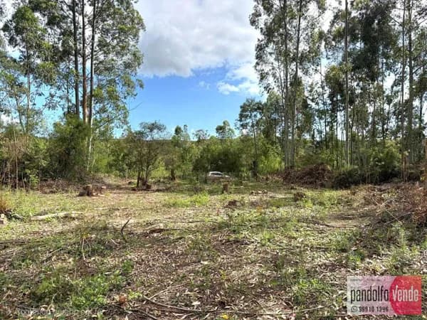 Pandolfo.Vende lindo terreno, no Guaiba Country.