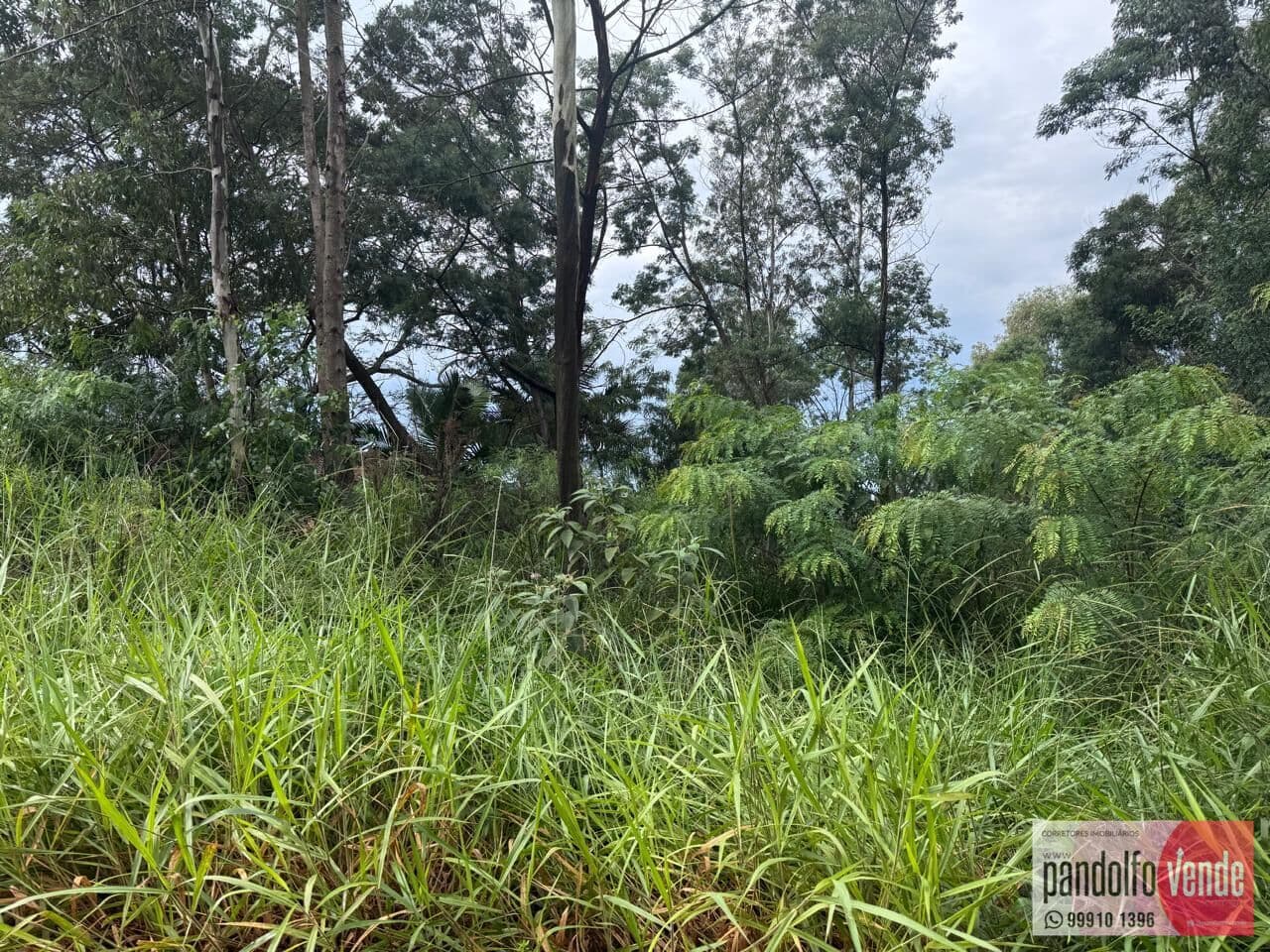 Lote/Terreno em Eldorado do Sul - Parque Eldorado 3