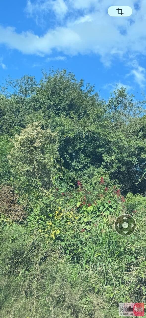 Lote/Terreno em Eldorado do Sul - Parque Eldorado 3